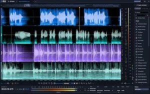 iZotope RX 12 spectrogram