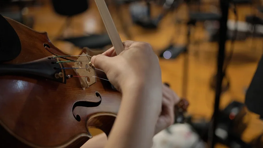 Synchron Solo Violin 1 & Cello