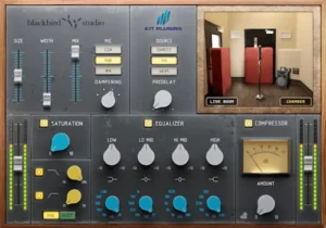 Blackbird Chamber D chamber reverb plugin interface for professional mixing
