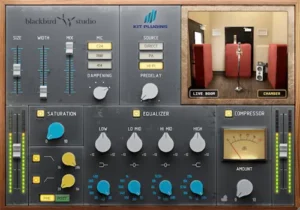 Blackbird Chamber D compared with professional chamber reverb plugins for studio mixing