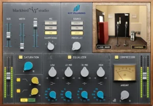 Modern chamber reverb workflow with adjustable room size and microphone modeling